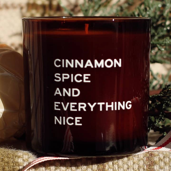 Cinnamon Spice and Everything Nice - 10 oz Candle for wholesale by SIN-MIN