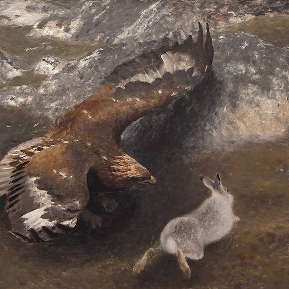 Tvätteprint, örn och hare - Bruno Liljefors för wholesale av Laqueprint