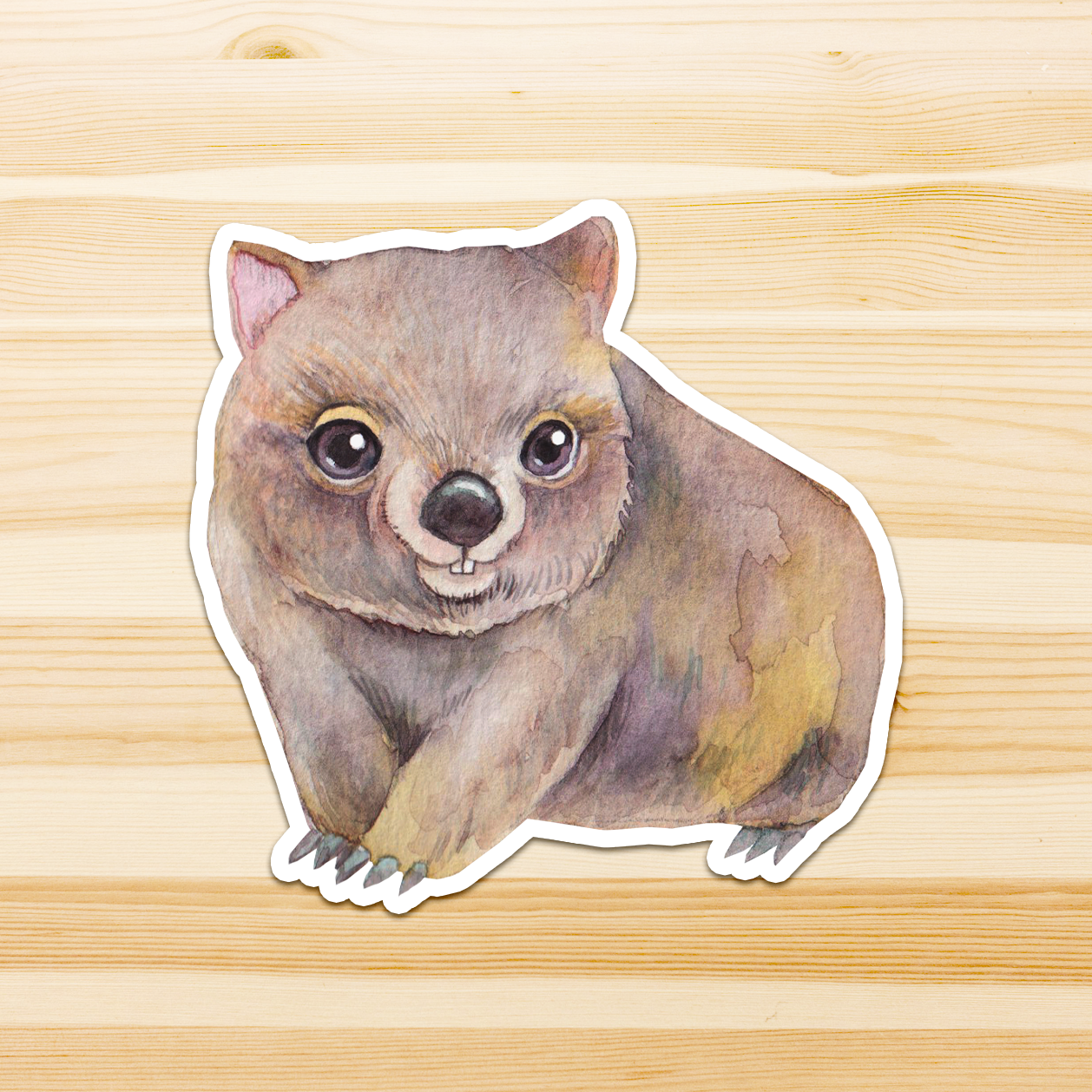 Watercolour By Cat - Wholesale Sticker - Large Australian Animal Vinyl Sticker1