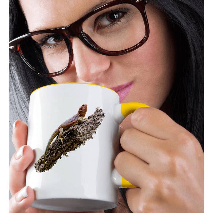 3dRose - Wholesale Coffee Mug - 3dRose, Central Bearded Dragon Lizard Reptile Pogona vitticeps on branch, Mug1