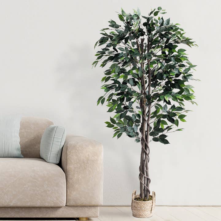 Forever Leaf - Wholesale Artificial Plant - 72" Ficus Tree with the Basket3