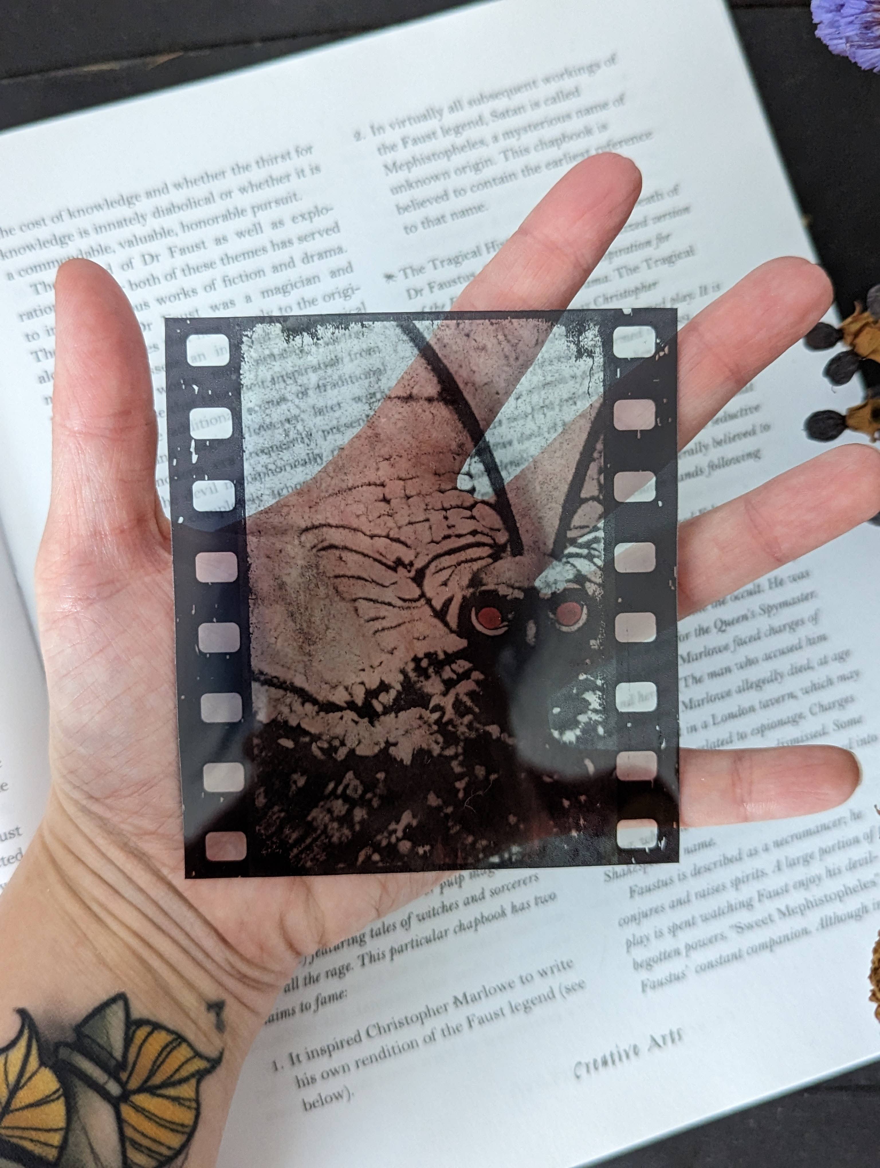 Dark Veinlet - Venta al por mayor Marcapáginas - Marcador transparente - Mothman Film Strip Horror Cryptid2