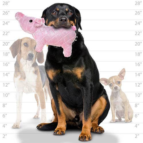 Tuffy Dog Toys - VIP Products – wholesale Pet squeaky toy – Dog – Mighty Farm Piglet, Plush, Squeaky Dog Toy