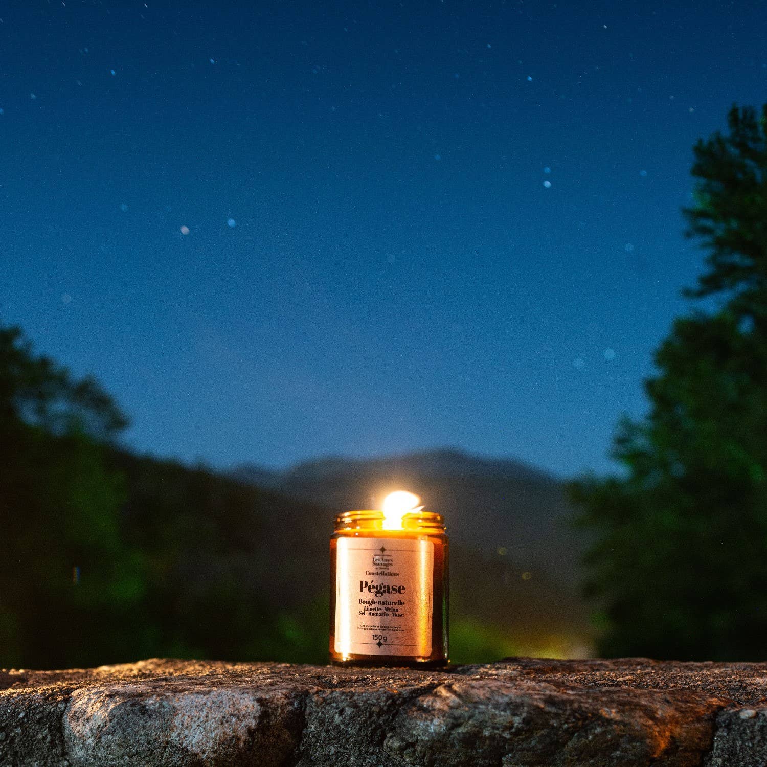 LES ÂMES SAUVAGES - Wholesale Jar/Filled Candle - Pegasus candle2