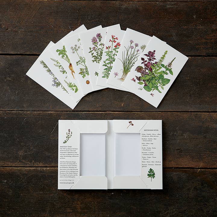 Koustrupco - Wholesale Postcard Set - Cardfolder Herbs 8 FSC postcards w/ 8 envelopes2