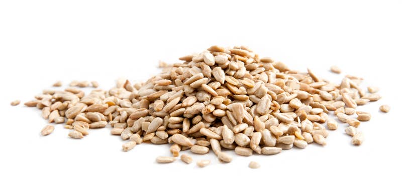 Good Sense Foods - Wholesale Nuts - Organic Roasted & Salted Sunflower Kernels1