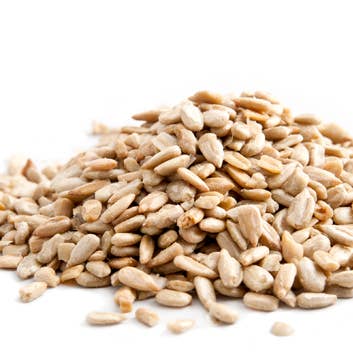 Good Sense Foods - Wholesale Nuts - Organic Roasted & Salted Sunflower Kernels1