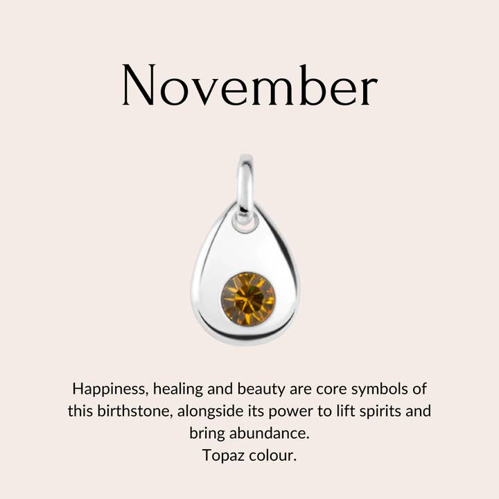 Skylos Collective - Wholesale Pet Collar Charm - Cat/Dog - Sterling silver birthstone collar charm13