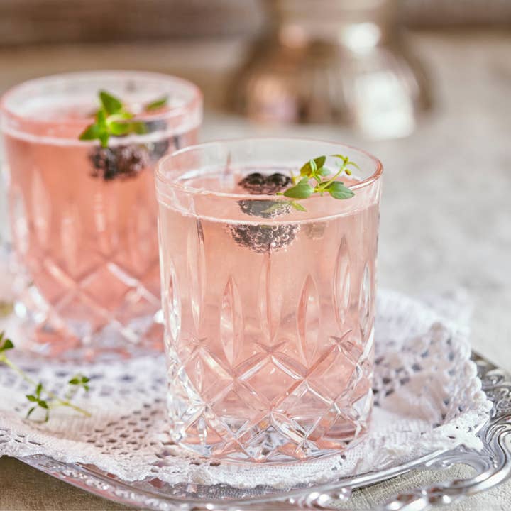 Drink Botanicals Ireland - Vendita all'ingrosso Frutta secca/disidratata - More nere liofilizzate5