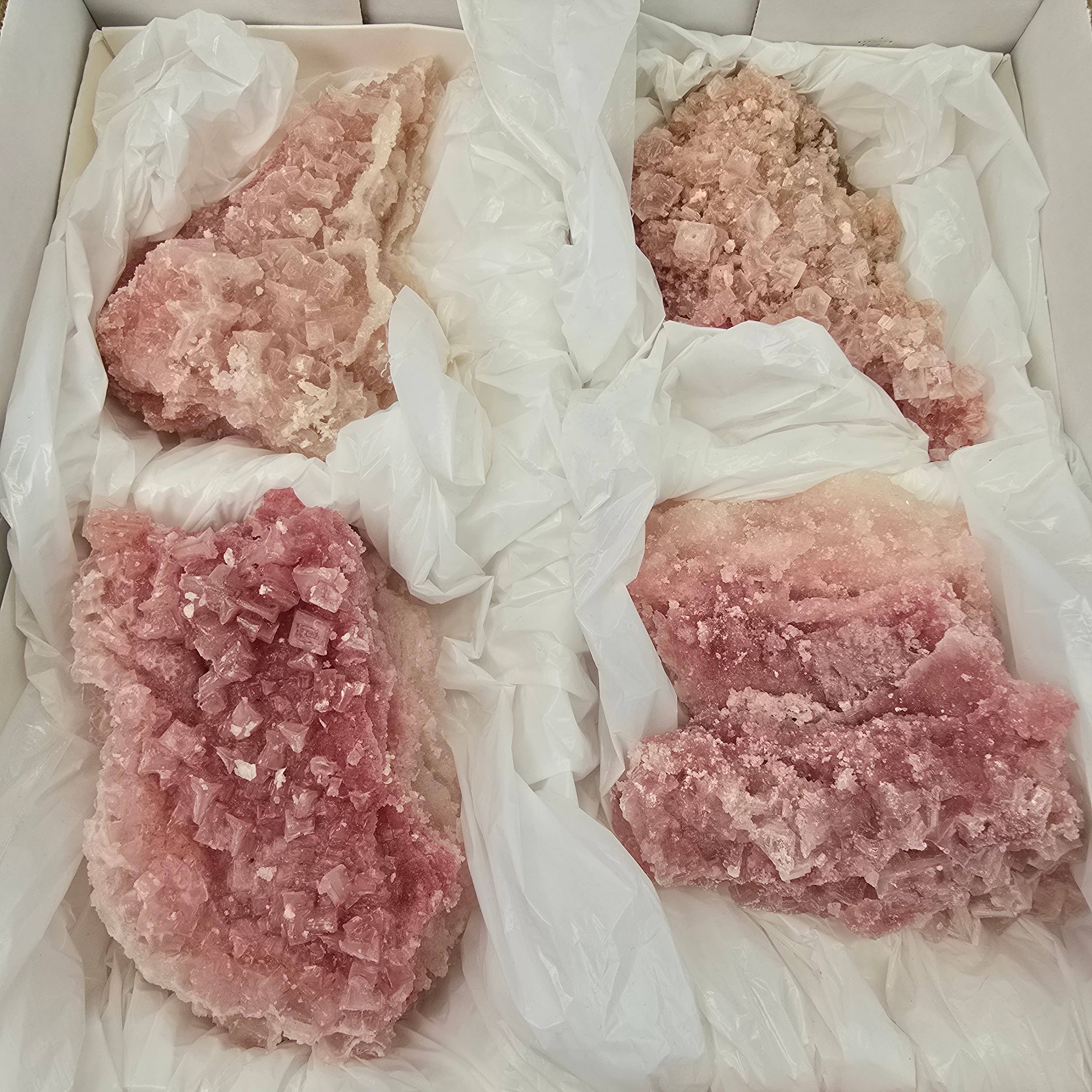 Aquamarine Daydream Wholesale - Wholesale Spiritual Stone/Crystal - 6pc Pink Halite ~ Bulk Mineral Flats ~ Crystal Specimens #133