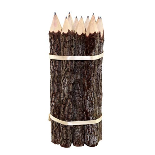 World Buyers - Wholesale Pencil - Branch Graphite Pencil Bundle (12pcs) - BPN3