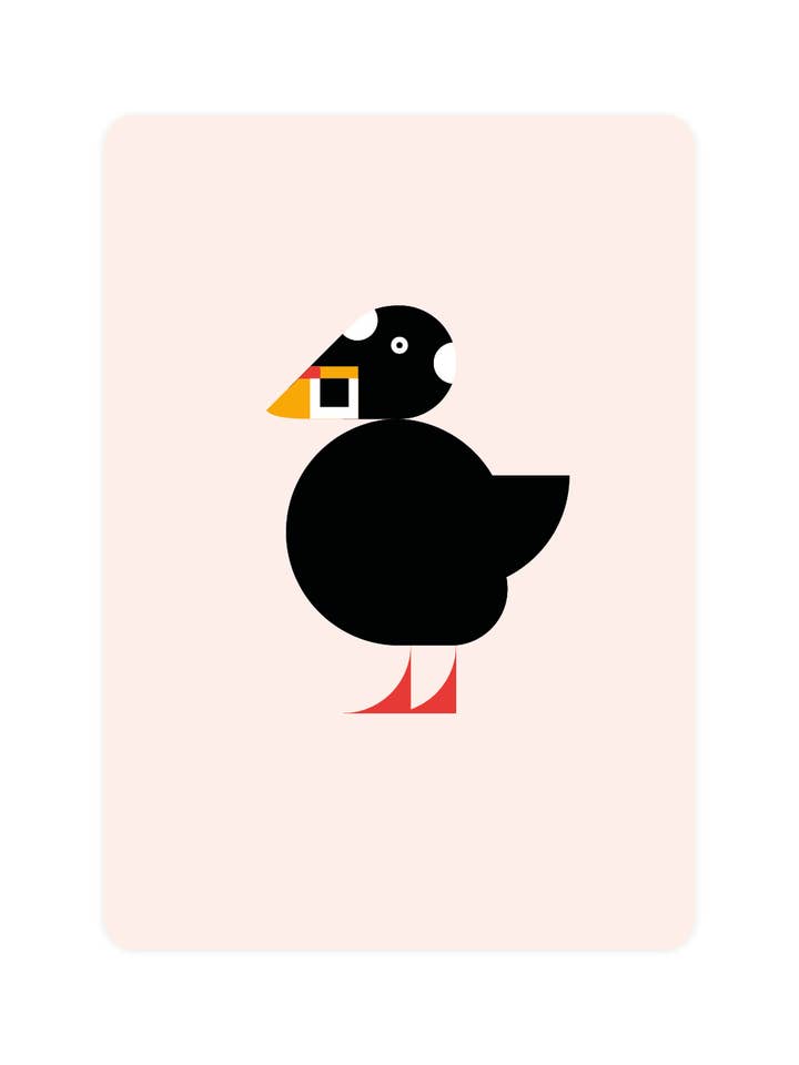 Postcard with Spectacled Duck for wholesale by Eendje