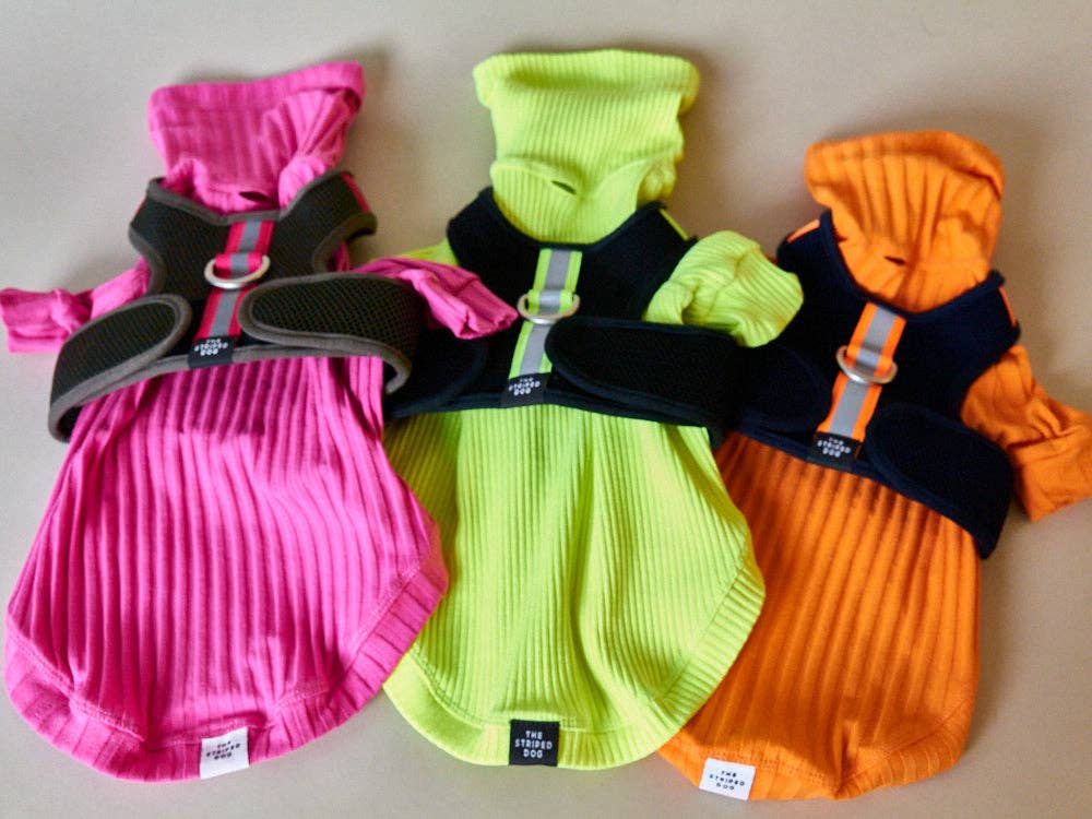 The Striped Dog – wholesale Sele - Hund – Italiensk vinthund/Whippet svart neoprensele6