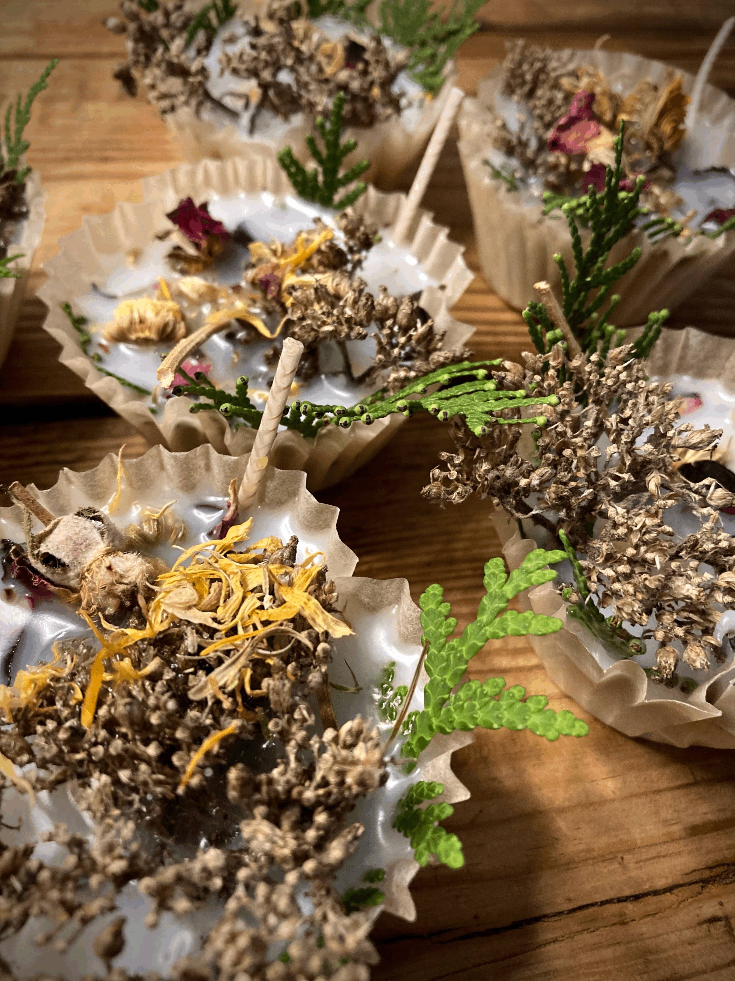 Thankful Sage Farm School - Wholesale Outdoor Candle - Bellyfire Bonfire Starters 1