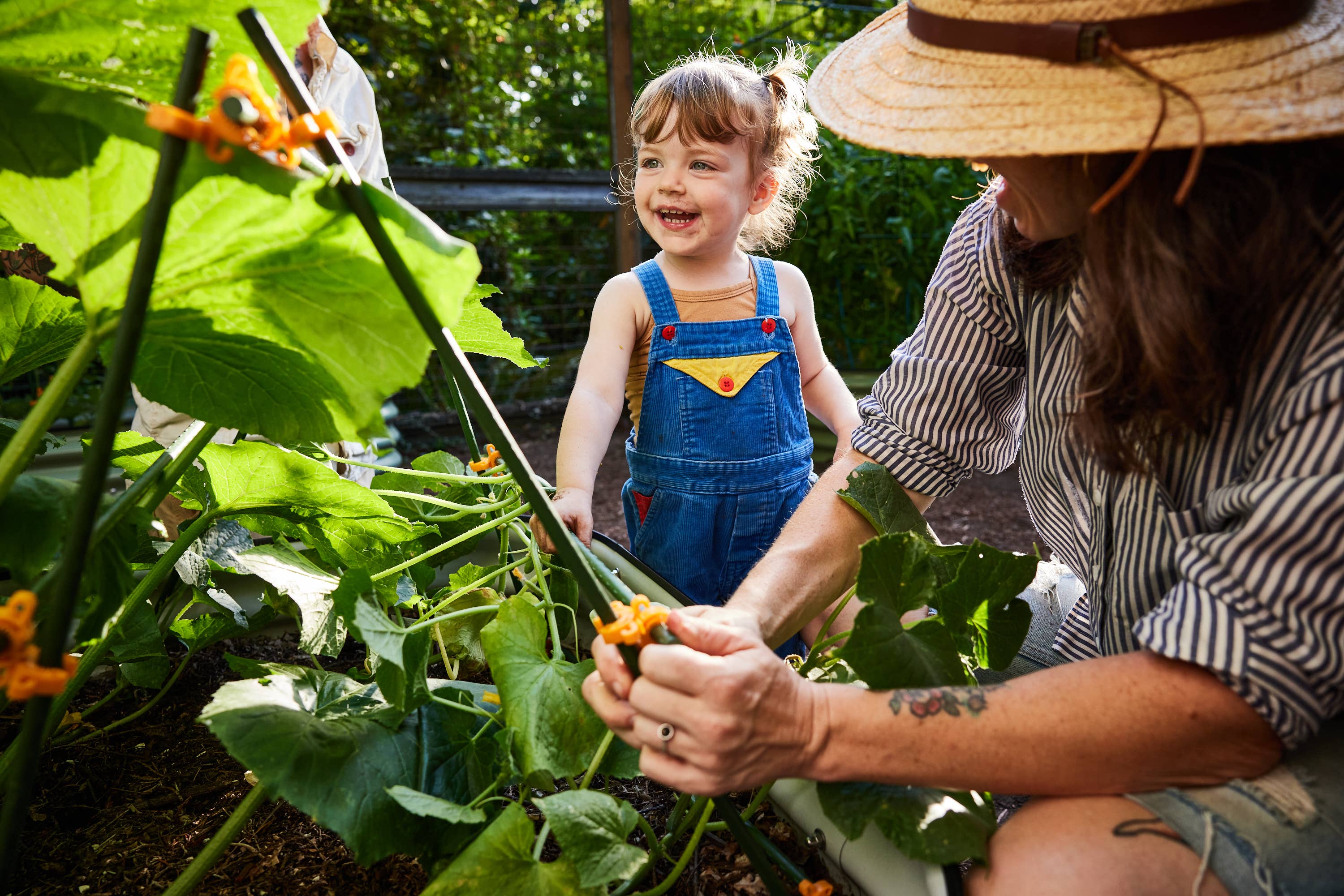 C-BITE - Wholesale Garden Tool - Orange C-BITE Tomato Cage Garden Stake Connector Clips5