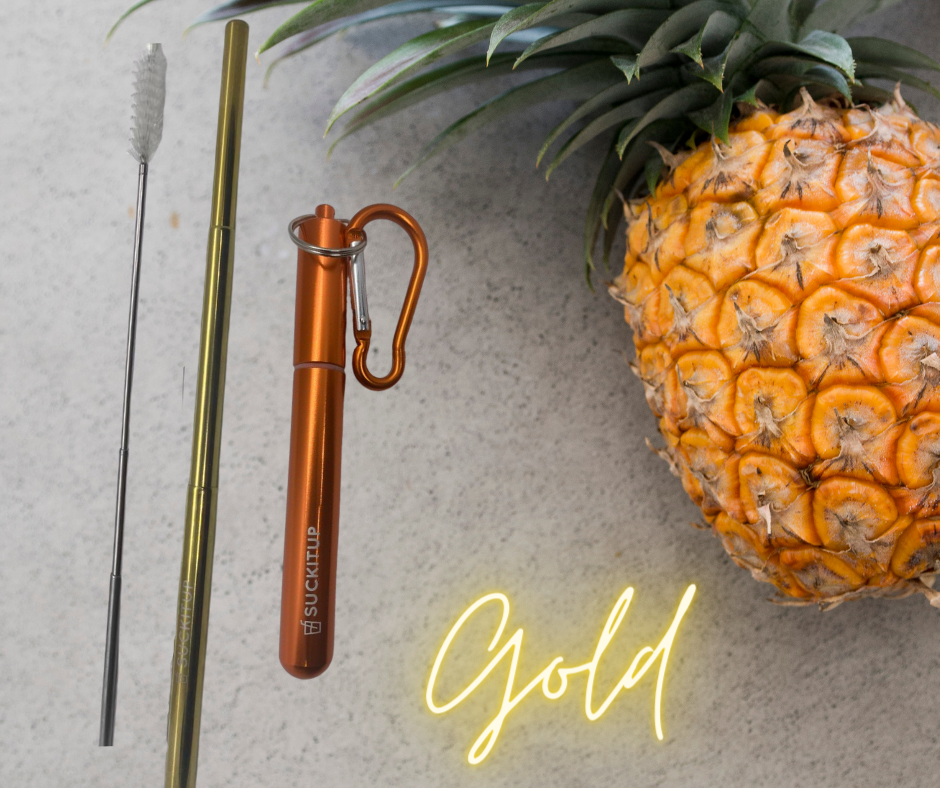 Suck It Up Straws - Vente Paille - Pailles métalliques télescopiques avec étui pour porte-clés et brosse de nettoyage45