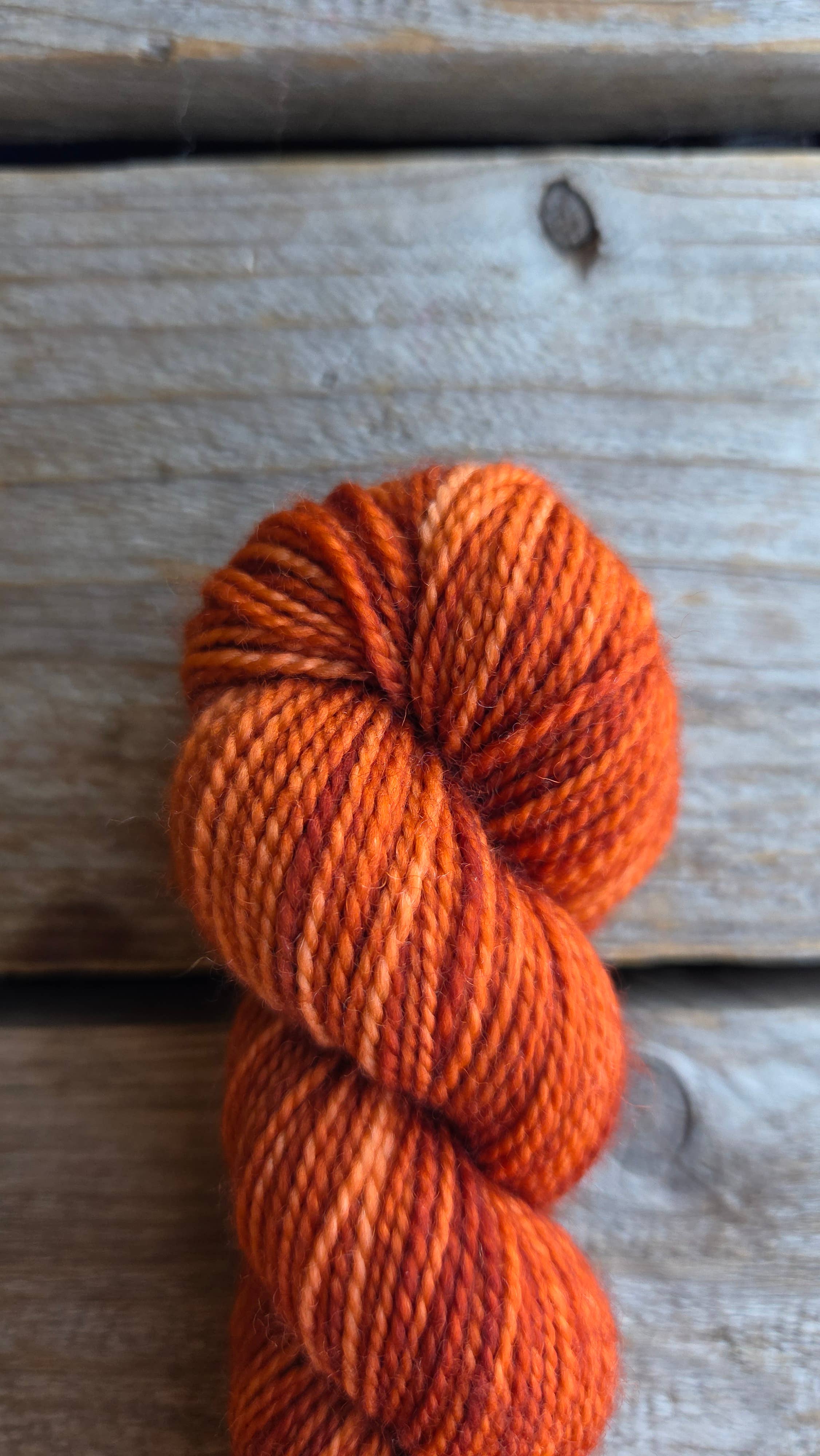 Koigu Wool Designs - Vendita all'ingrosso Lana - Palette KPM del Ringraziamento (filato merino fingering)5