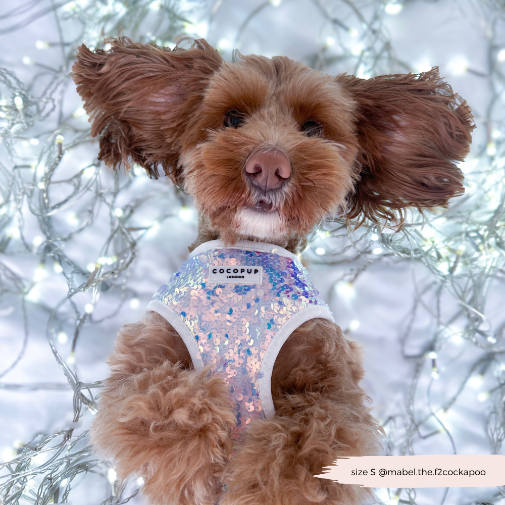 Cocopup London - Vendita all'ingrosso Pettorina - Cani - Imbracatura LUXE Party con Paillettes Olografiche14