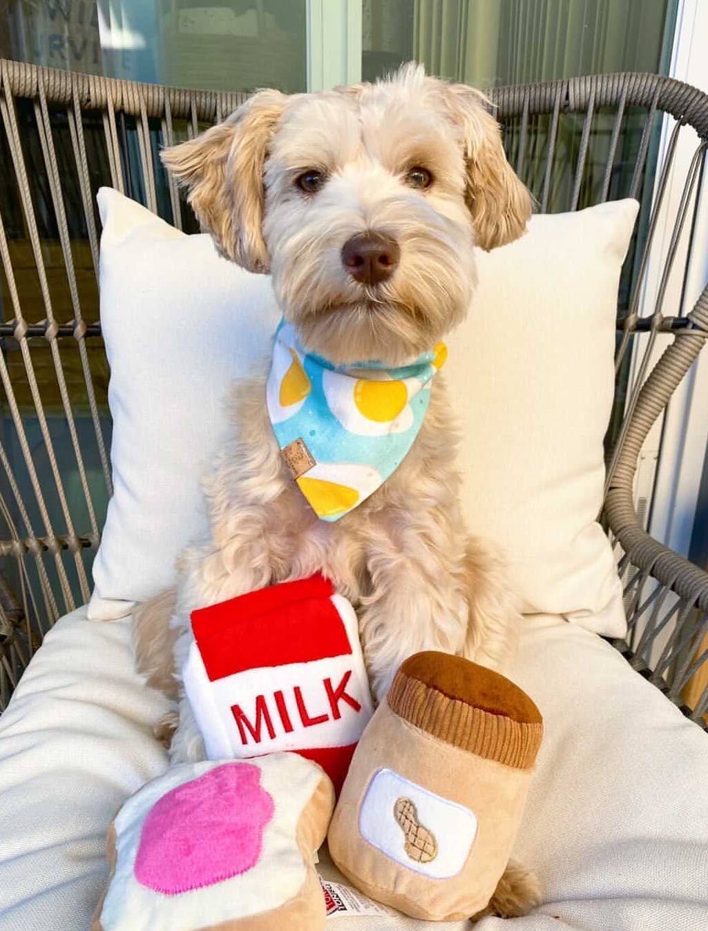 TONBO - Wholesale Pet Plush Toy - Dog - TONBO Snack Time Combo - Dog Toys, Peanut Butter3