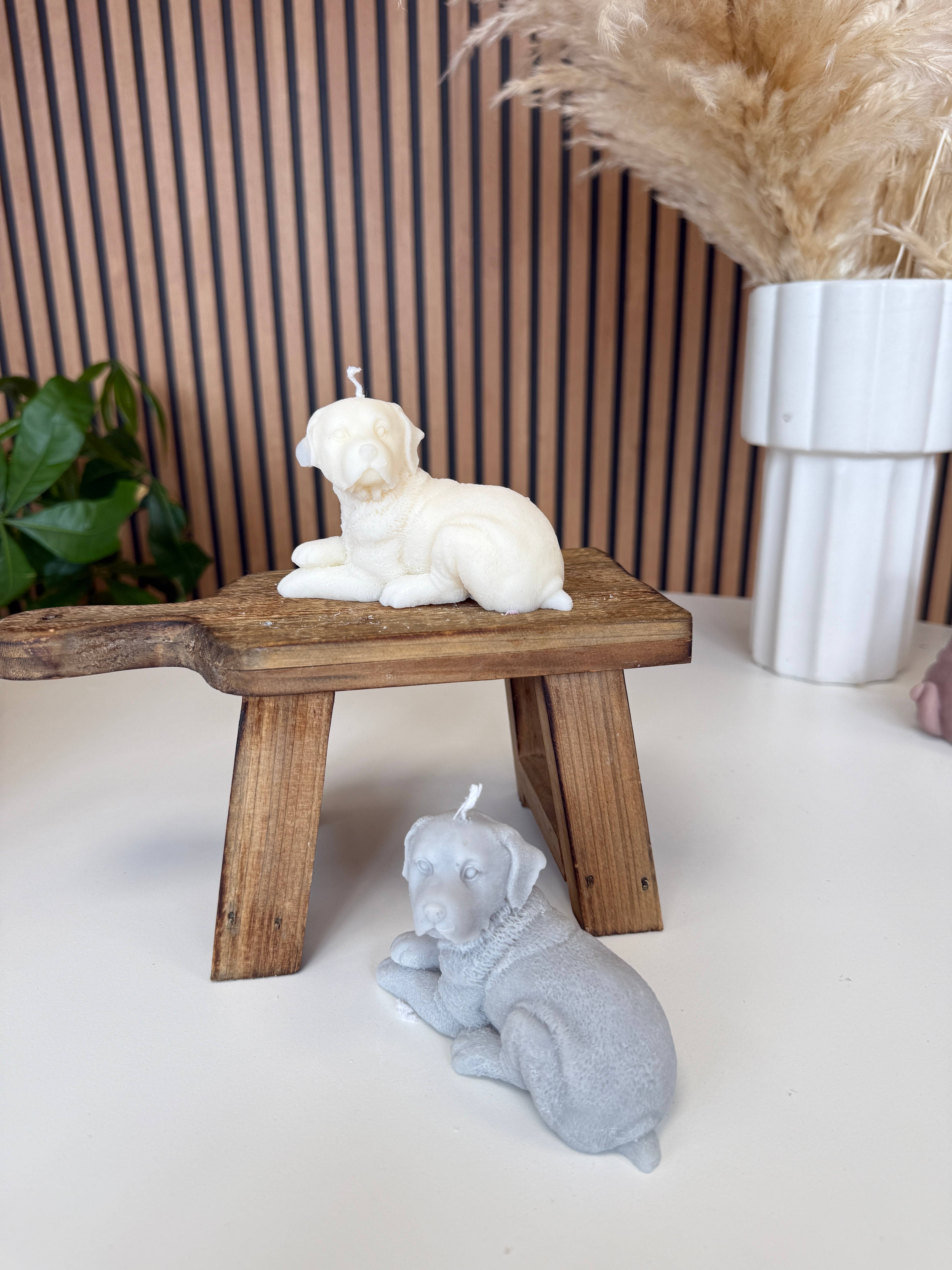 Ritual Spirit ltd - Vendita all'ingrosso Candele regalo - Collezione Dog Candle | Candele in cera di soia naturale | Amanti dei cani2