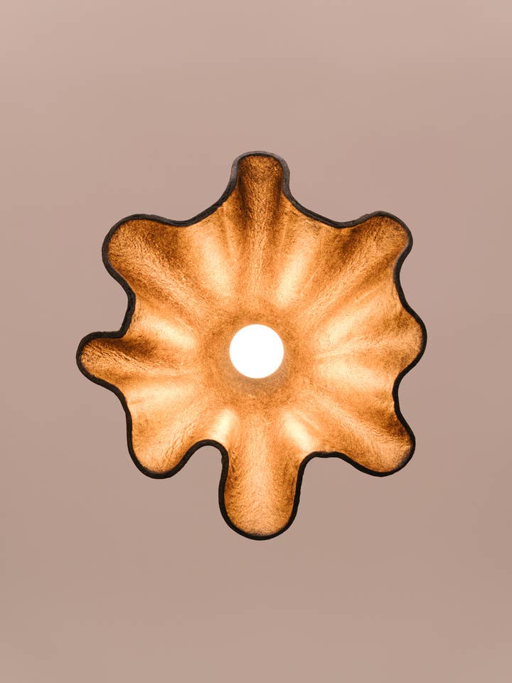 Obskure Kaffee klein für den Großhandel von Biohm - The Future of Home