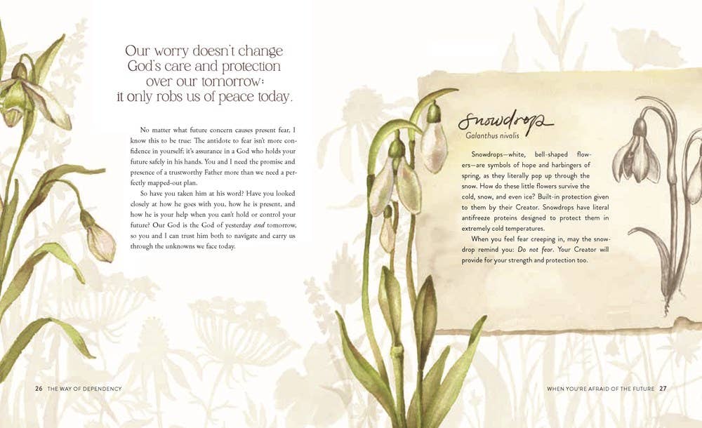HarperCollins Christian Publishing - Wholesale Religion Book - The Way of the Wildflower : Gospel Meditations to Unburden Y11
