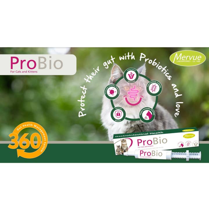 OurPetsLife - Wholesale Pet Supplement - Cat - ProBio Paste for Cats & Kittens1