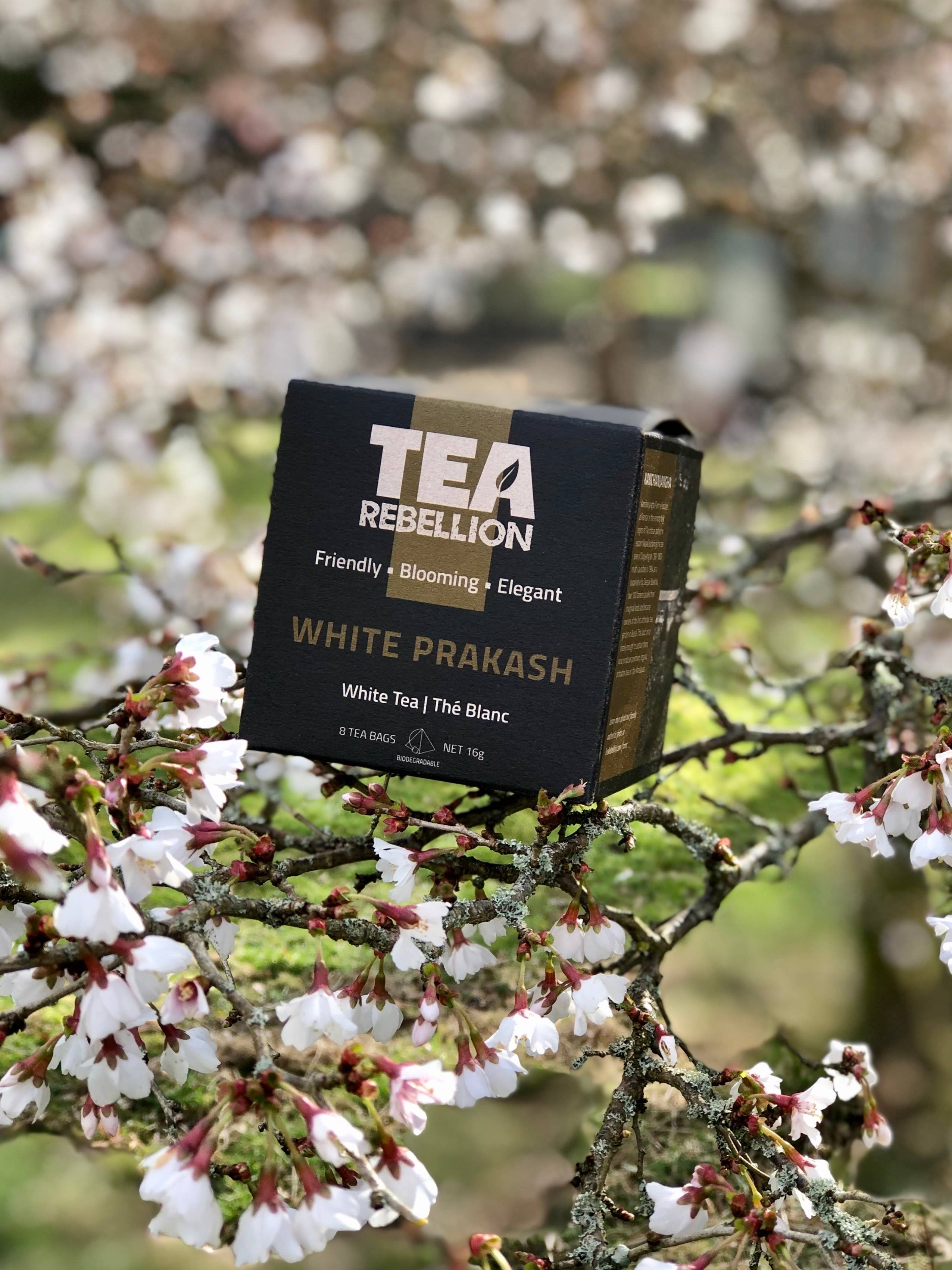 Tea Rebellion – Großhandel Loser Tee – White Prakash - Weißer Tee | aus Nepal | Biologisch abbaubare Beutel2