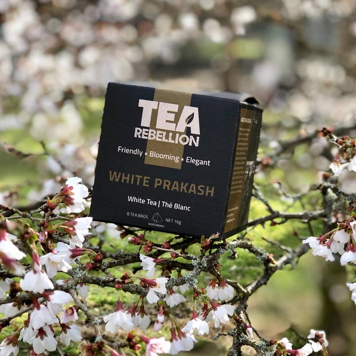 Tea Rebellion – Großhandel Loser Tee – White Prakash - Weißer Tee | aus Nepal | Biologisch abbaubare Beutel2