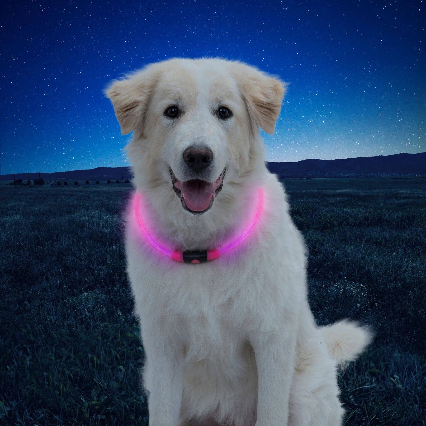 Mr. Peanut's - Wholesale Pet Collar - Dog - Nite Ize NiteHowl™️ LED Safety Necklace9