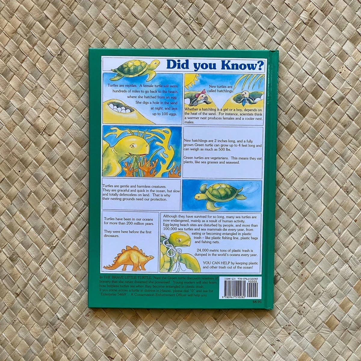 Hawaiian Children's Books - Wholesale Preschool Book (3-5) - The Brave Little Turtle 2