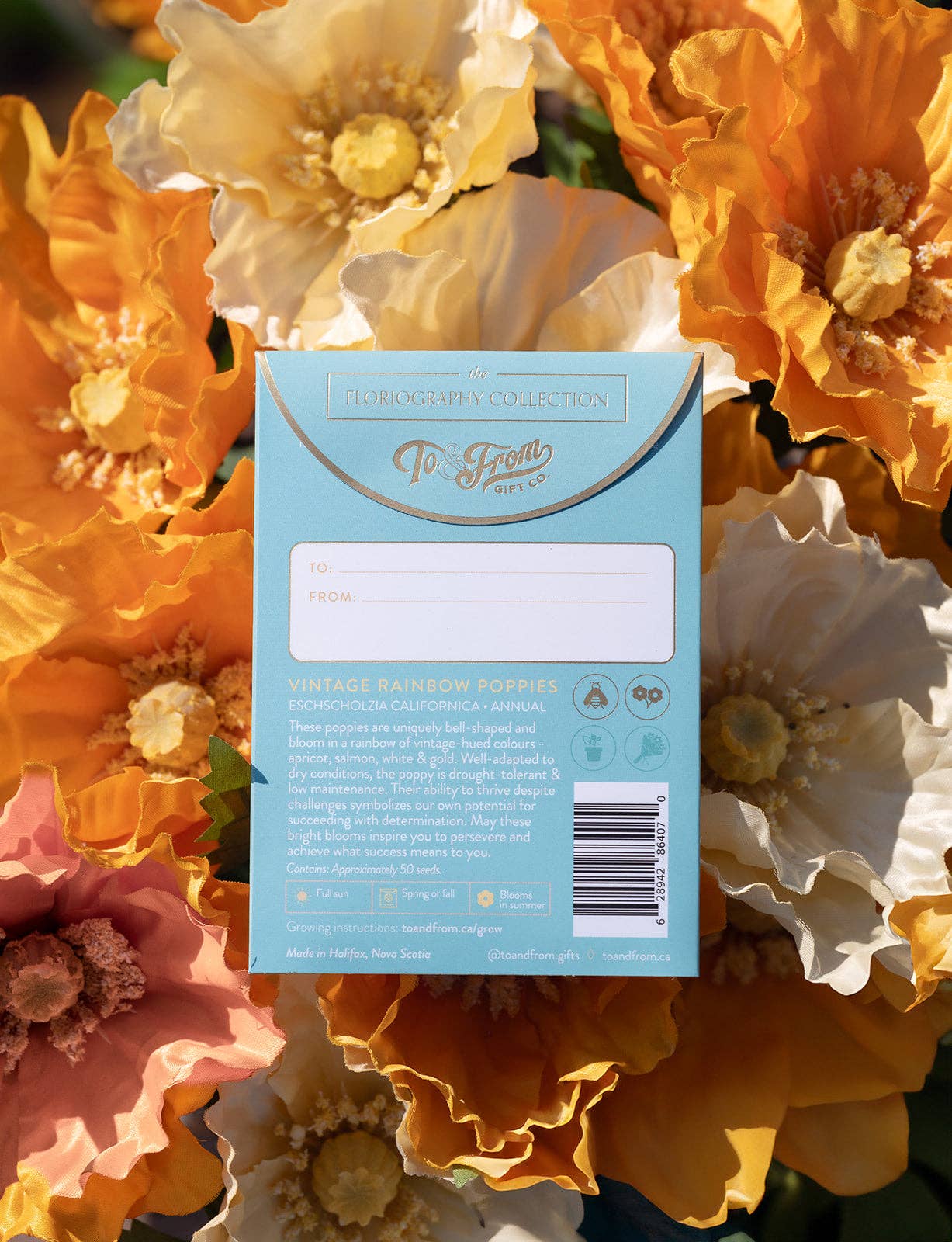 To & From Gift Co. - Wholesale Plant Seeds - Vintage Rainbow Poppies (Success) - Floriography Seed Packet1