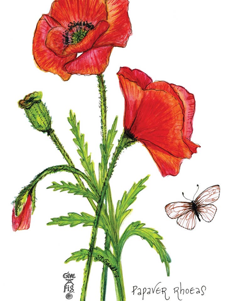 Poppy Tea Towel for wholesale by Give A Fig