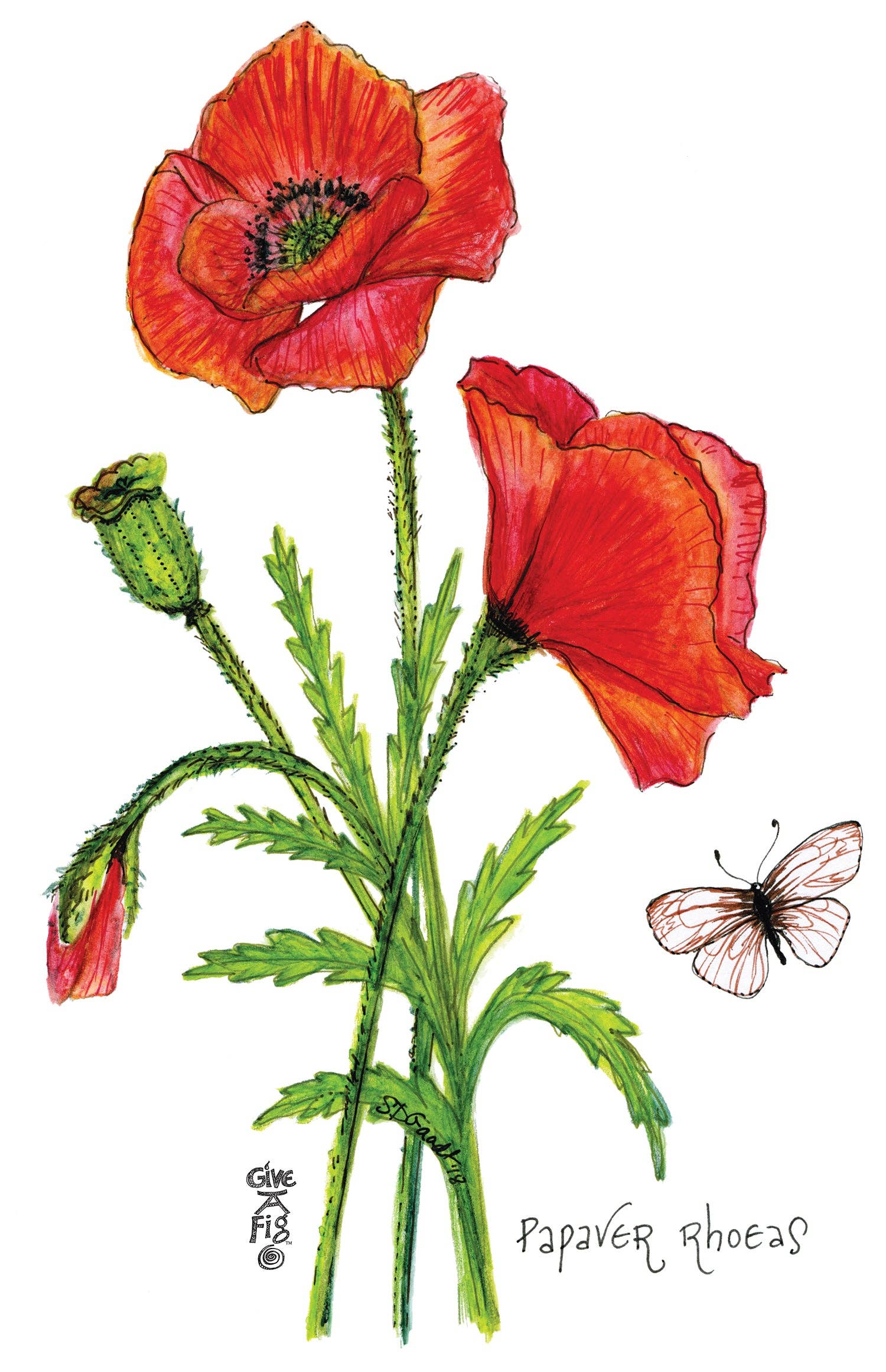 Poppy Tea Towel for wholesale by Give A Fig