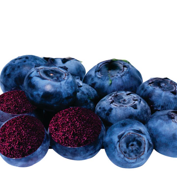 Indus Farms Superfoods - Wholesale Protein/Superfood Powder - 100% Pure Freeze Dried Blueberry Powder, GMO-Free, Vegan2