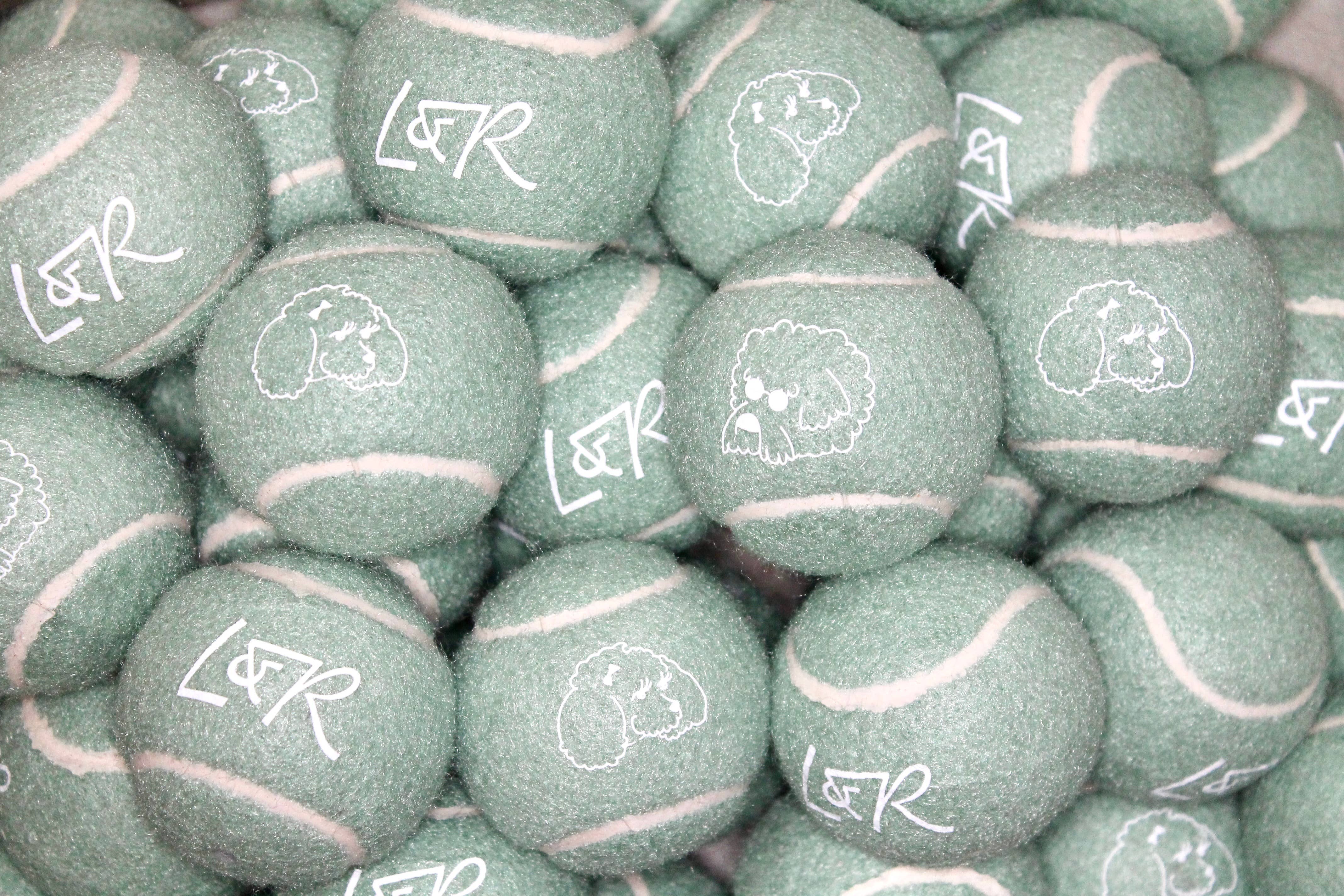 DANKA - Vendita all'ingrosso Palla sportiva - Palline da tennis personalizzate all'ingrosso, etichetta privata, Pantone3