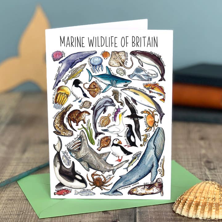 Alexia Claire Ltd – wholesale Everyday greeting card – Marine wildlife Art Blank Greeting Card