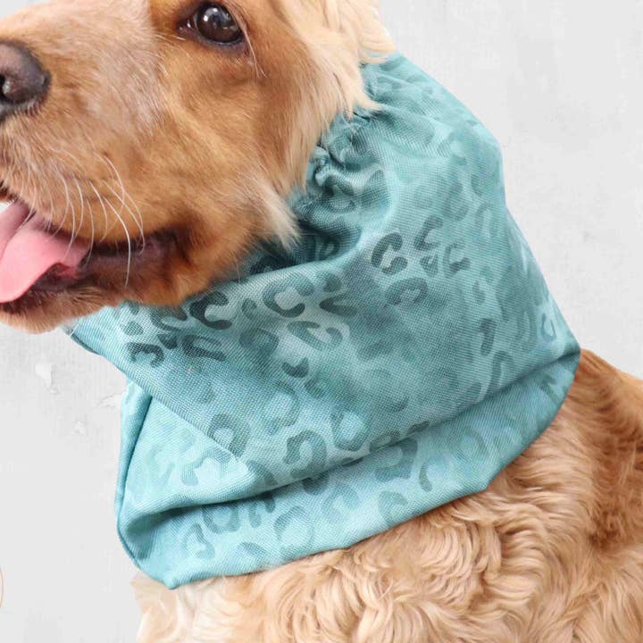 Wasserdichter Hundeschal | Minzgrüner Gepard für den Großhandel von Distinguish Me