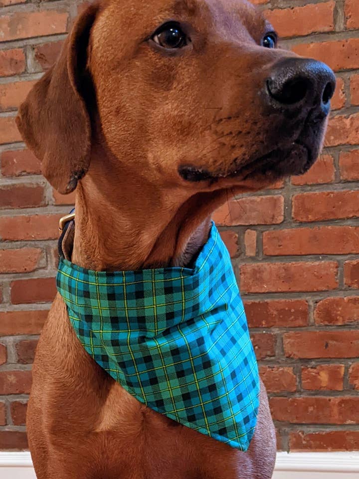 Luck of the Irish Plaid Bandana - Personalized for wholesale by Koa's Ruff Life