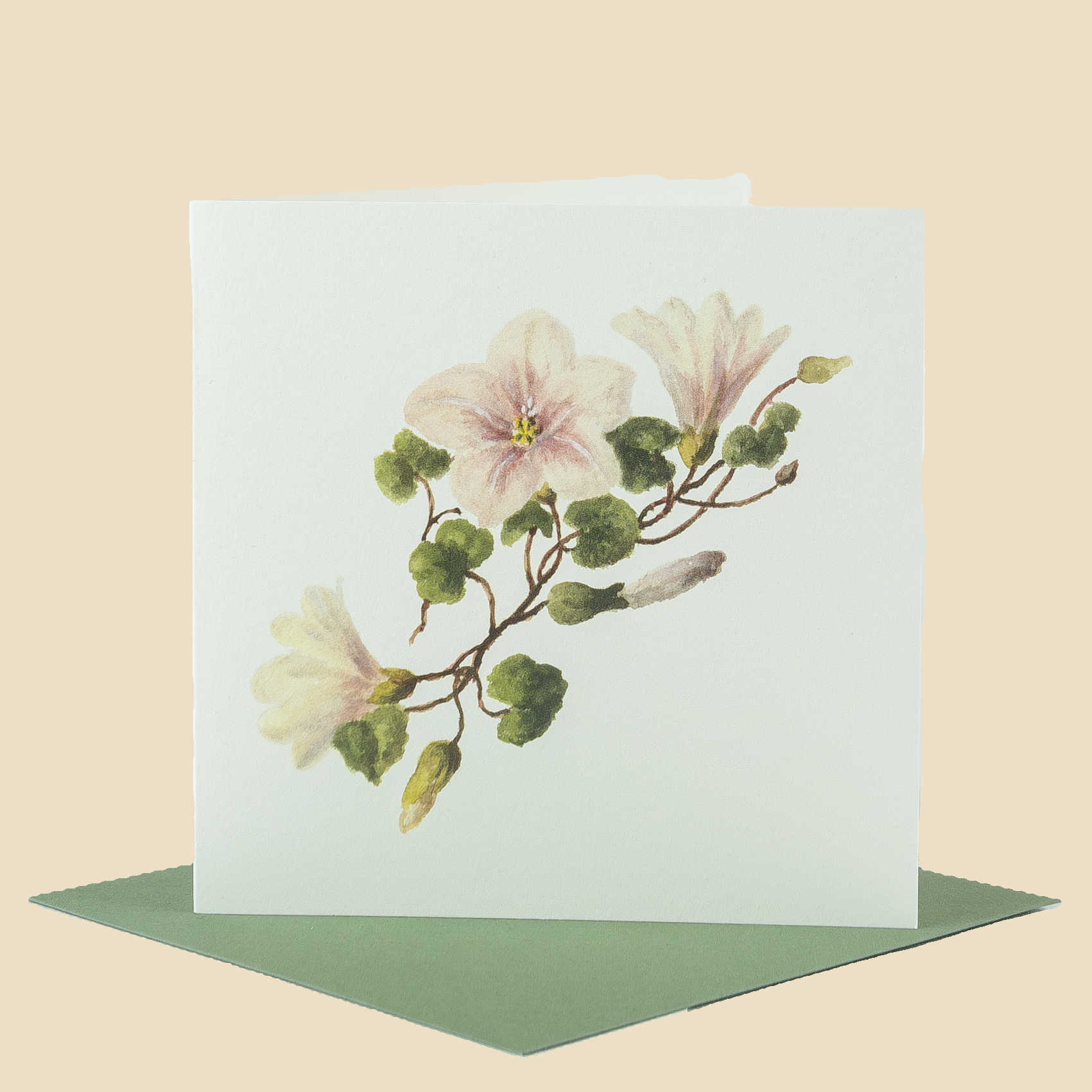 Sophia Davenport - Wholesale Everyday Greeting Card - Wildflower Greeting Cards and Notelets42