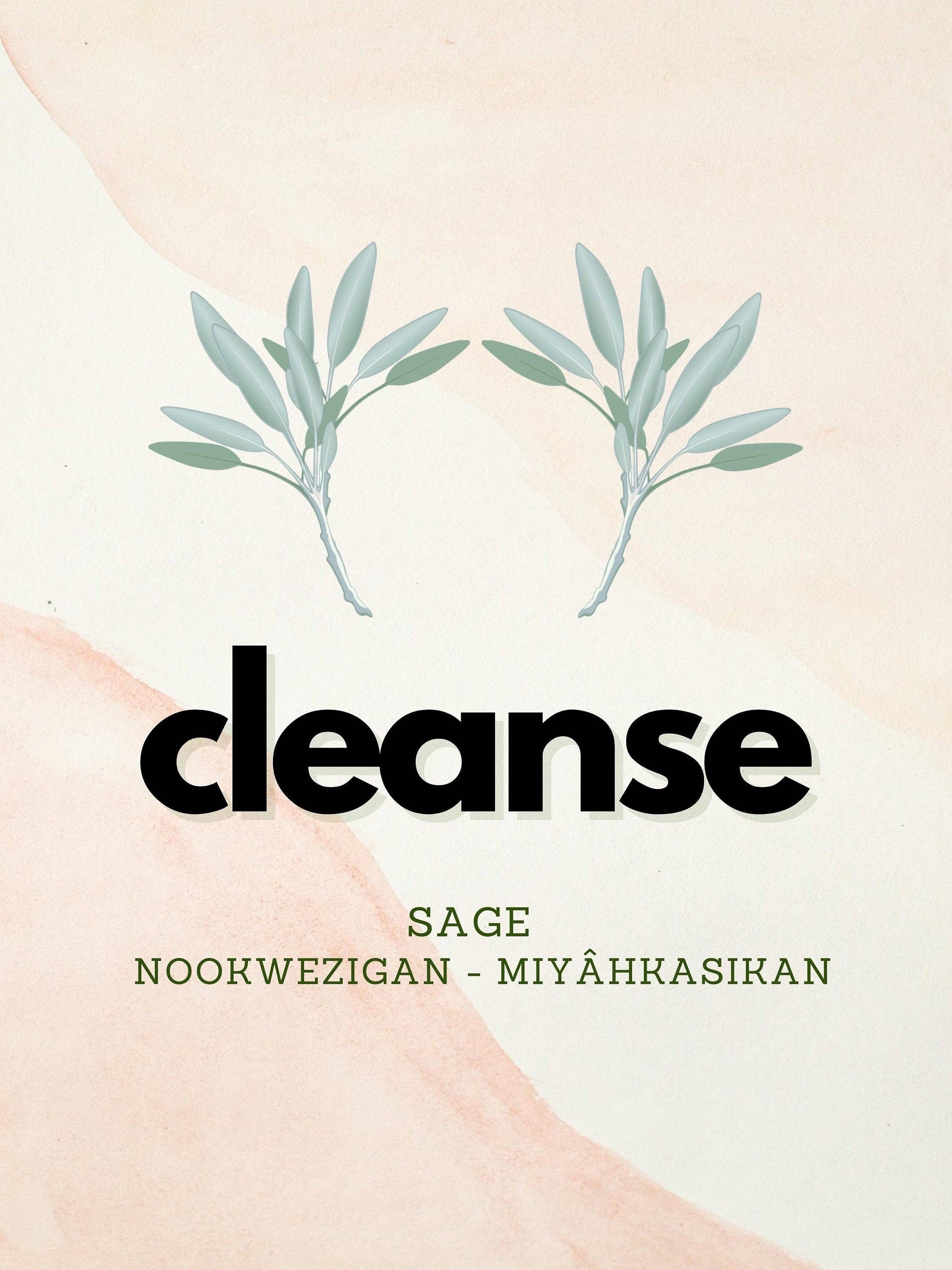 Eagle Woman Prints - Wholesale Art Print - Four Sacred Medicines Art Work - Four Piece Set4