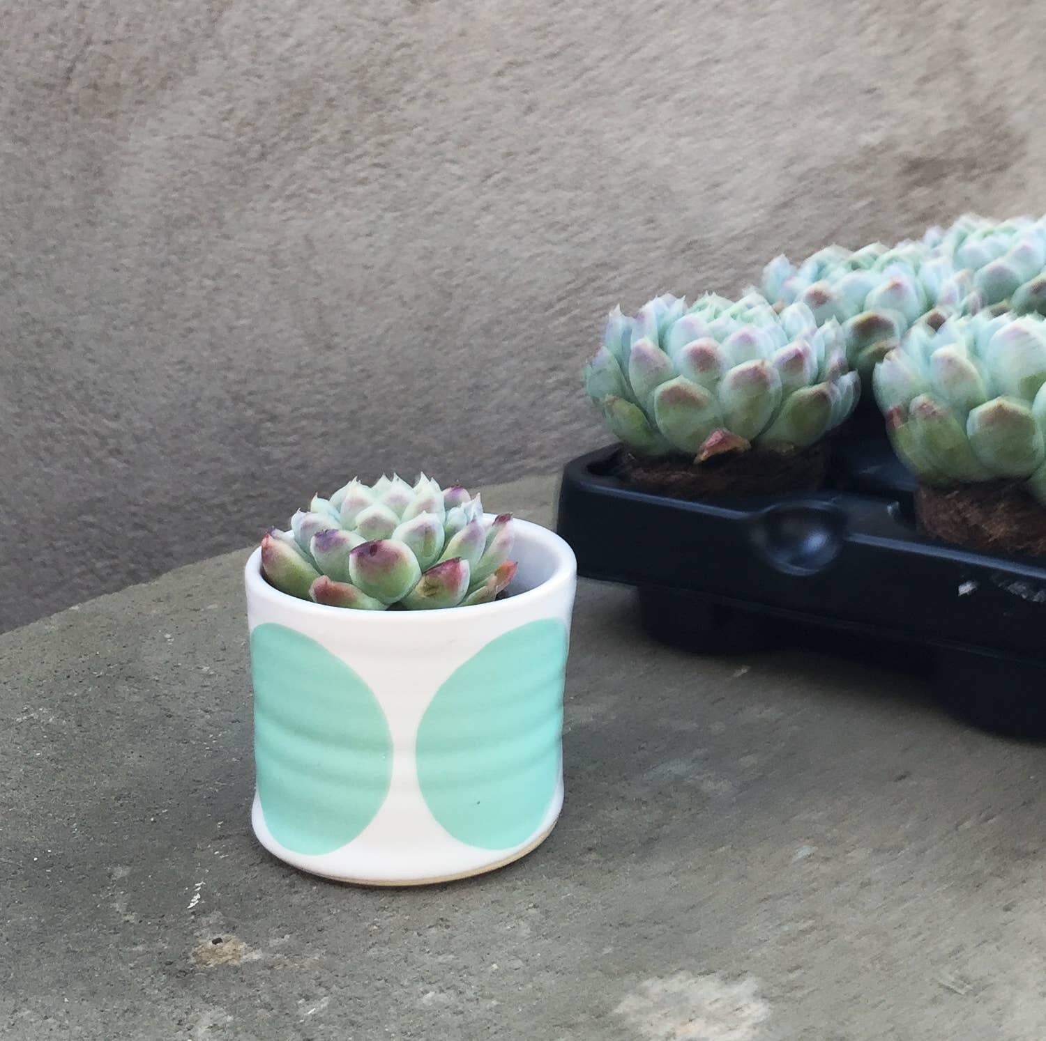 camillaengdahl - Wholesale Plantenpot - DOT kom turquoise met ronde patronen1