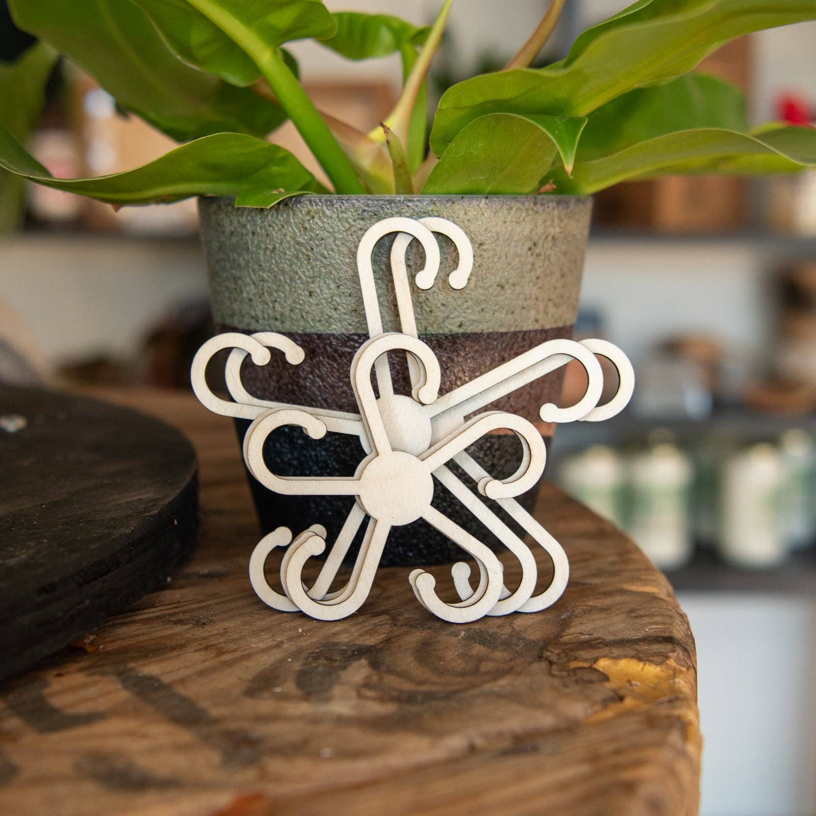 Still Magnolia - Wholesale Garden Tool - House Plant Stem Supports2