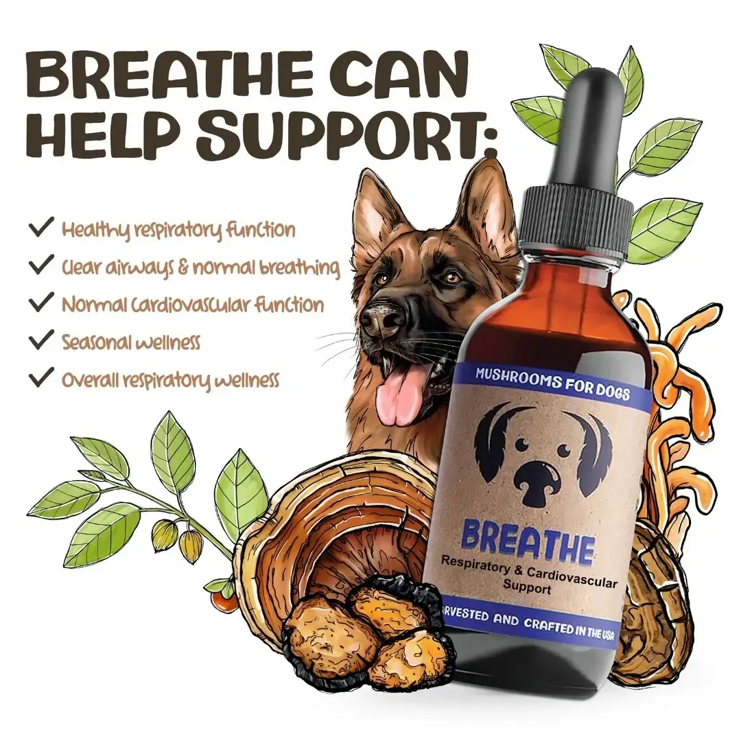 MycoDog - Wholesale Pet Supplement - Dog - Breathe – Mushroom Tincture for Dogs | Respiratory Support2