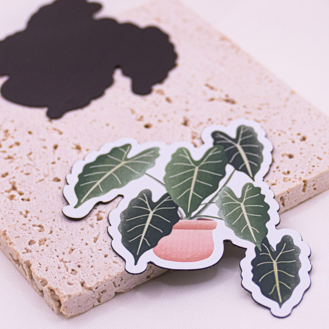Tilda&Theo - Wholesale Magnet - Magnet plant begonia fridge magnet indoor plant2