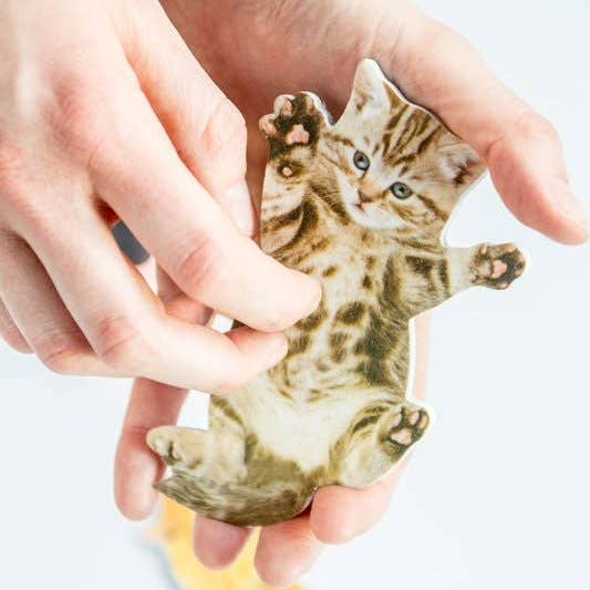 SUCK UK - Wholesale Nail File - Cat Nail Files – Keep Your Nails in Purrrfect Condition