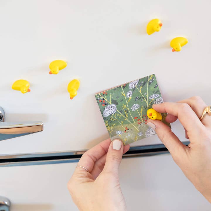 Three by Three Seattle - Wholesale Magnet - colorful duck magnets