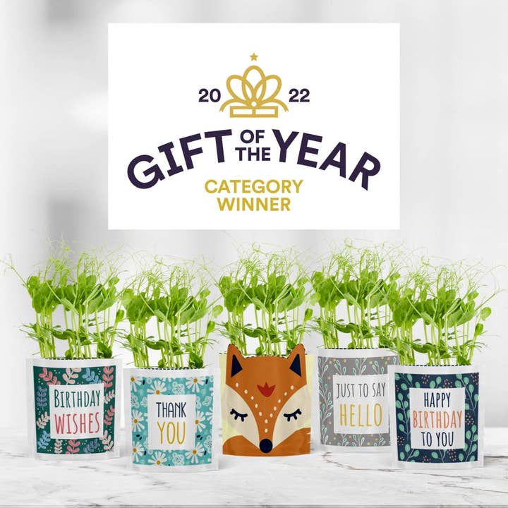 Shroot: Kabloom Seedboms - Vente Présentoir – papeterie et articles fantaisie - Greens and Greetings - Pack de départ pour cartes de vœux Eco Seed1