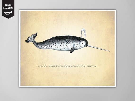 The National Anthem - Wholesale Art Print - 5” x 7” Narwhal Art Print0