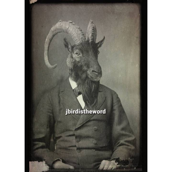 The Wild Oddisorium - Wholesale Art Print - Goat Print, Gothic Pagan, Witchcraft Art, Oddity Odd